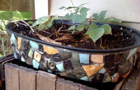 mosaic_roaster_planter.jpg