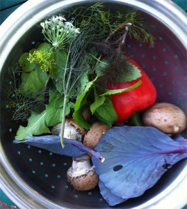 Nice salad!