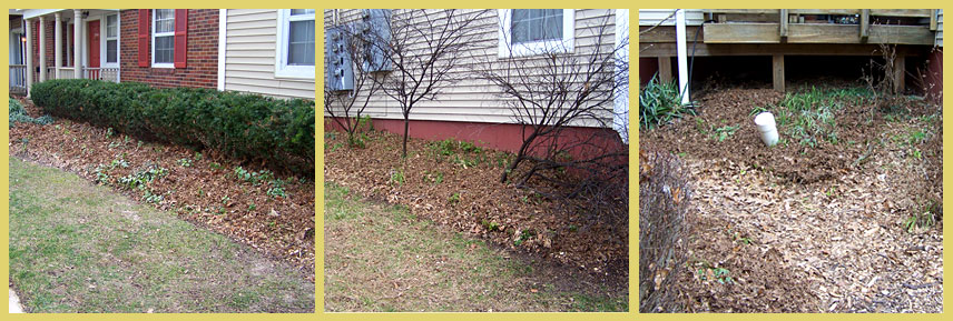 From left to right - front garden, side garden and back garden on January 4, 2016.