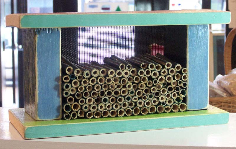 Upcoming Class: Build a Pollinator House