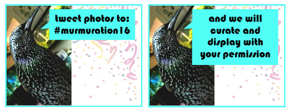 tweet photos to #murmuration16