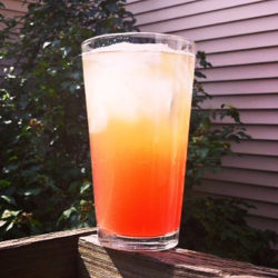 Kombucha Cocktail