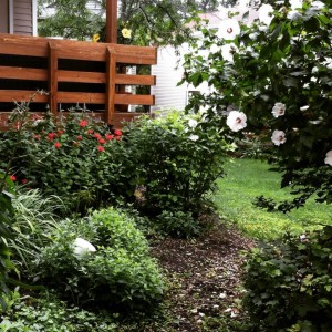 mygarden