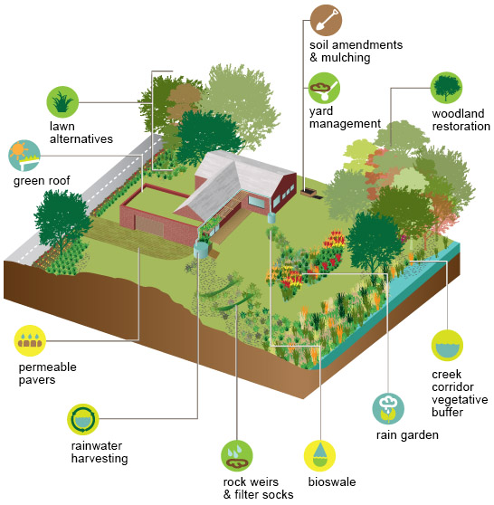 Rainscaping practices