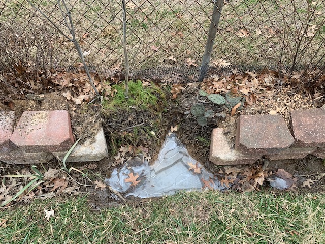 Low spot between our yards - 01-17-20