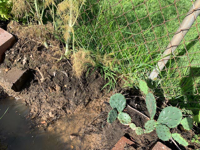 Drainage from 7409 to 7405 Rockwood, summer 2019