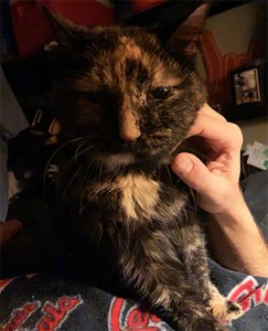 Griffin still doesn't look too happy in this picture. It was taken a few days after she was sick to show my Dad she was doing a lot better. She looks a lot happier now!
