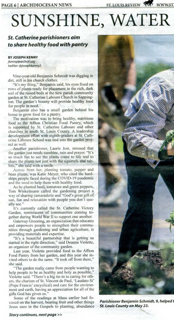 St. Louis Review clipping from June 7-13 edition, page 6.