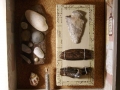 Here is a close-up of one of my shadow boxes that contains beachcombing finds. I found the spear point on a sandbar in the Mississippi River while on a float trip.